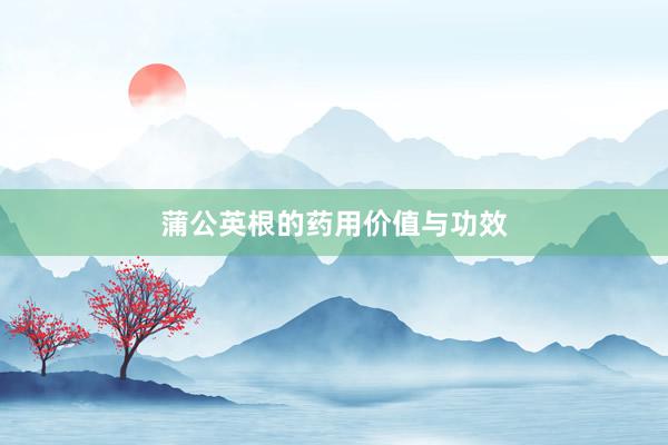 蒲公英根的药用价值与功效
