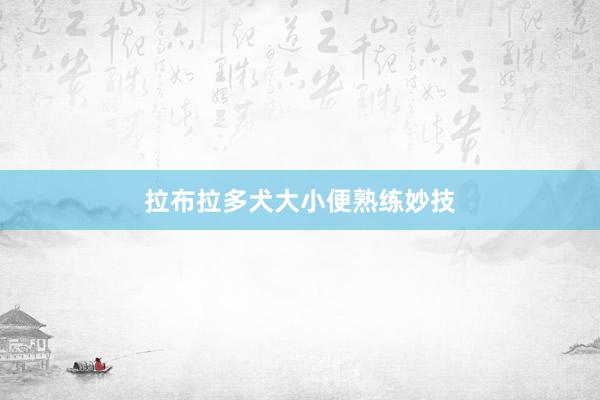 拉布拉多犬大小便熟练妙技