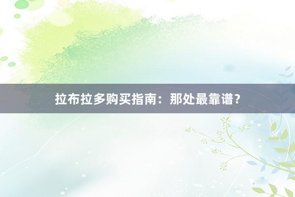 拉布拉多购买指南：那处最靠谱？